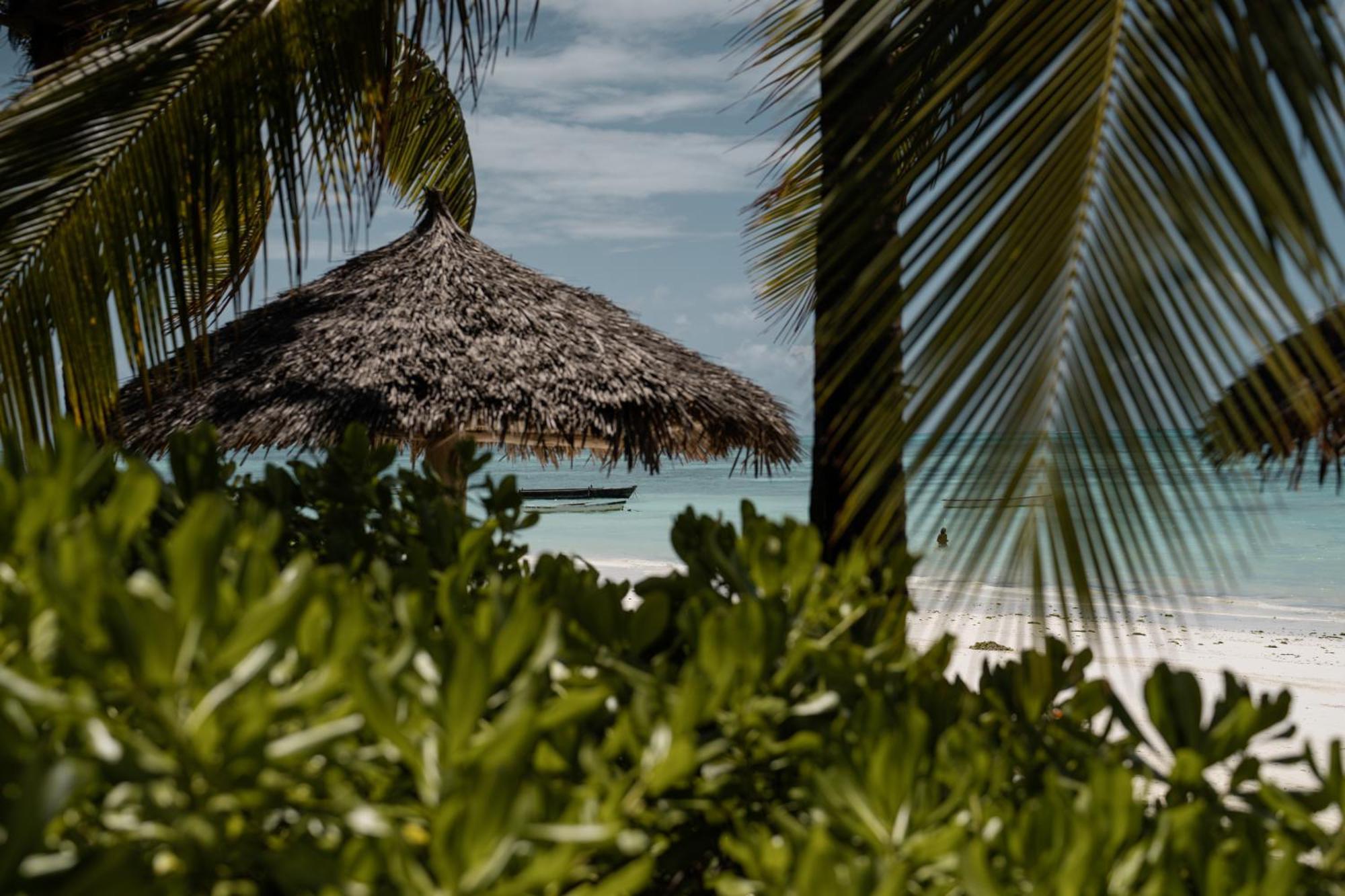 The Loop Beach Resort (Adults Only) Jambiani  Kültér fotó